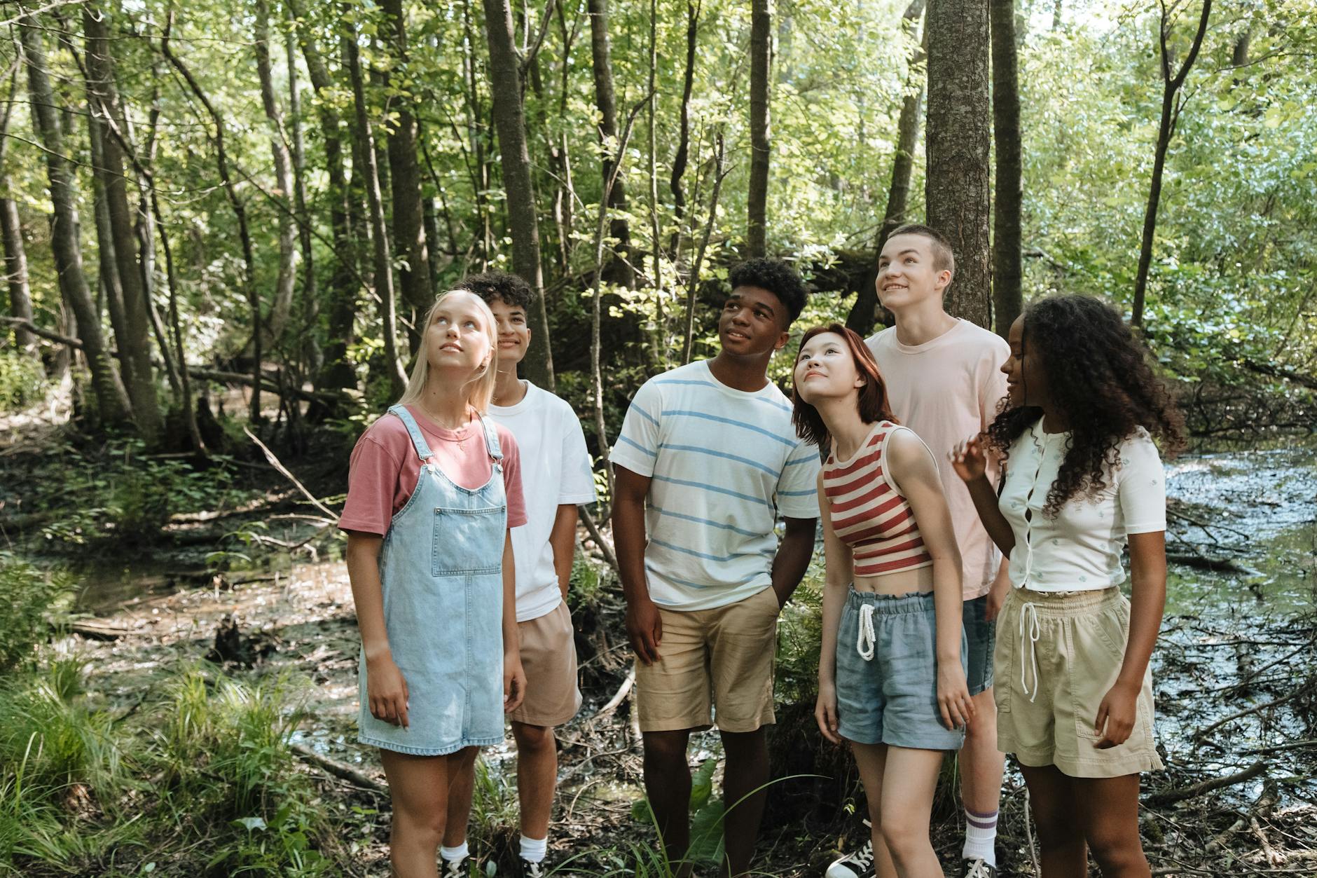 group of teenagers in forest looking up